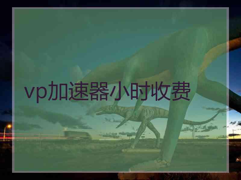 vp加速器小时收费