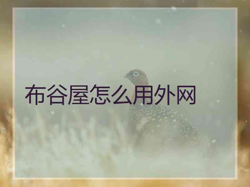 布谷屋怎么用外网