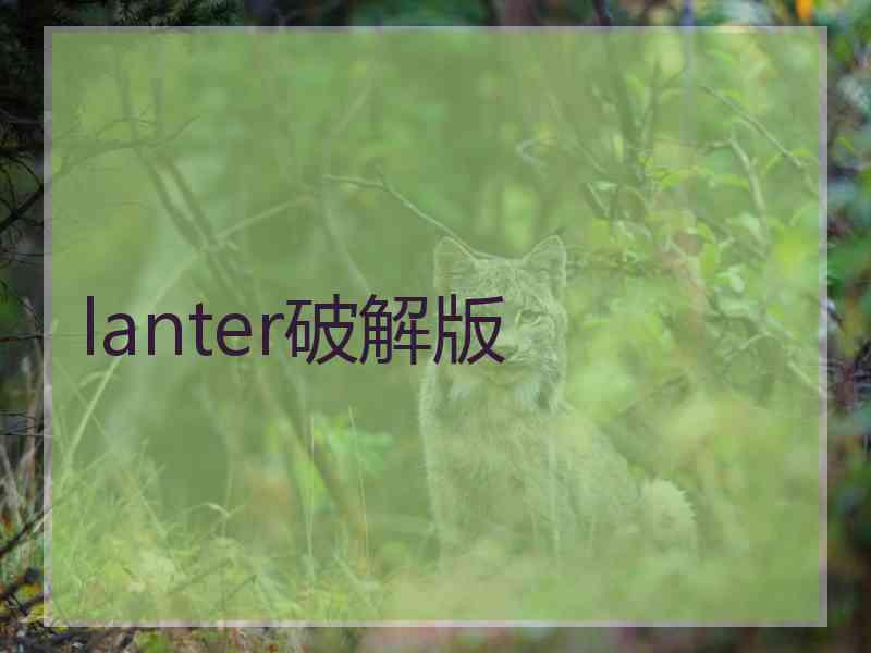 lanter破解版
