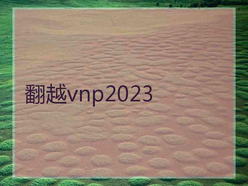 翻越vnp2023