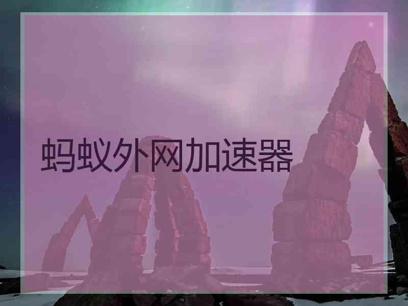 蚂蚁外网加速器