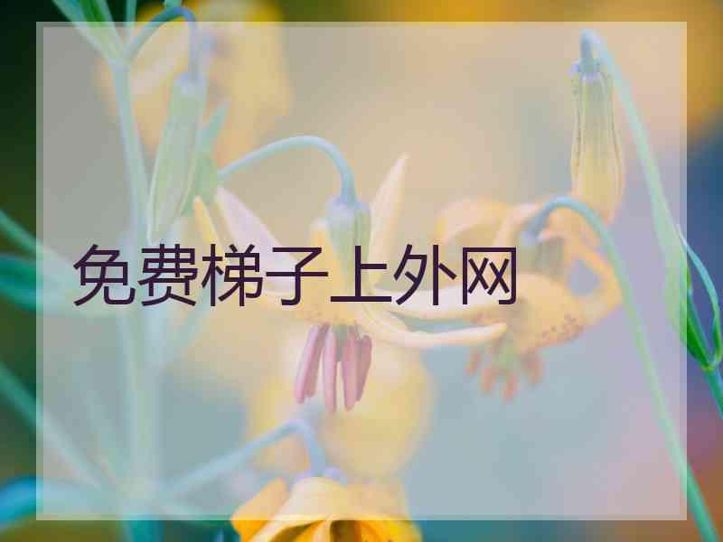 免费梯子上外网