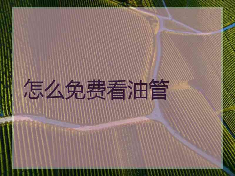 怎么免费看油管