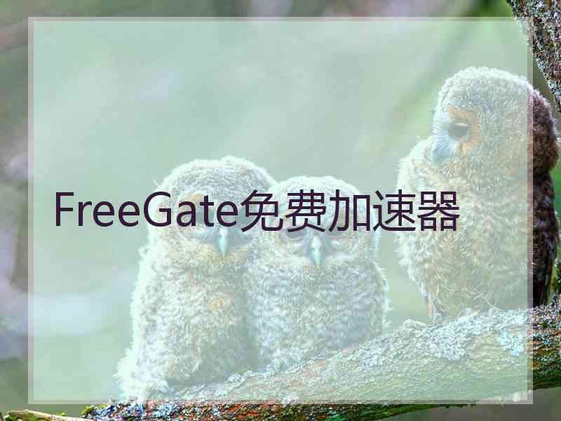 FreeGate免费加速器