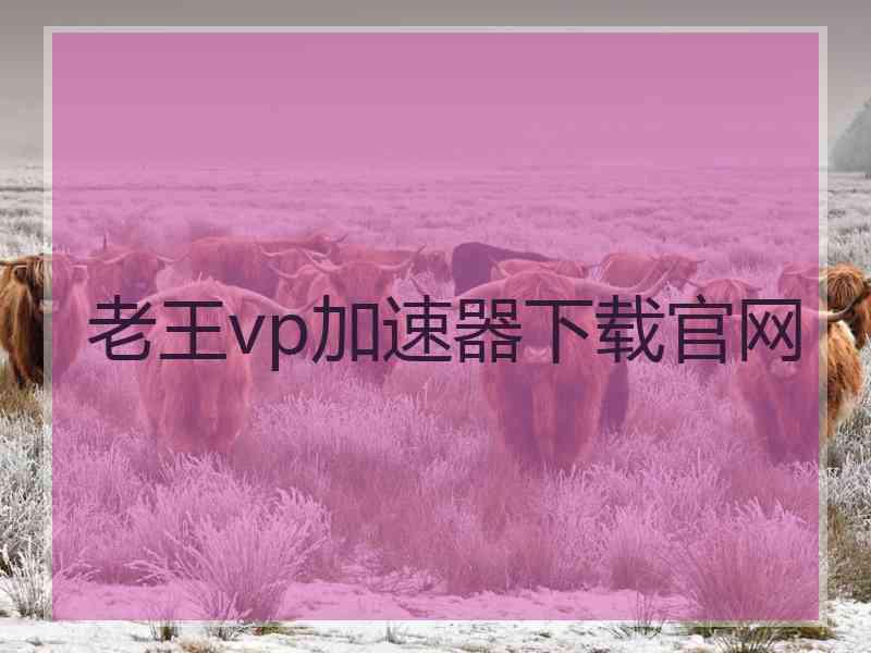 老王vp加速器下载官网