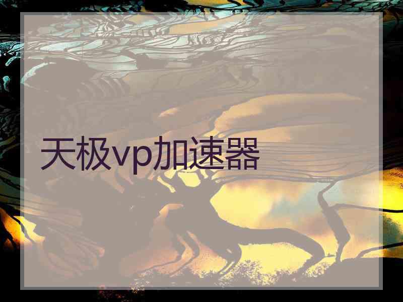 天极vp加速器