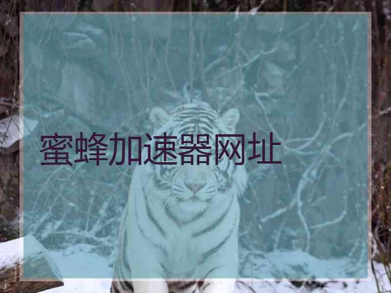 蜜蜂加速器网址
