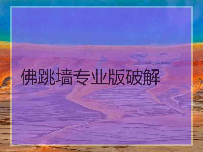 佛跳墙专业版破解
