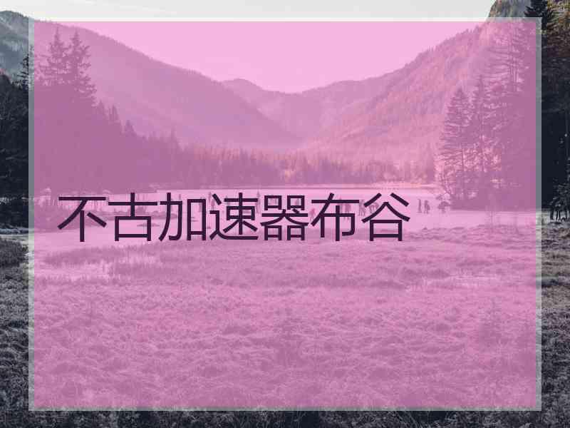 不古加速器布谷