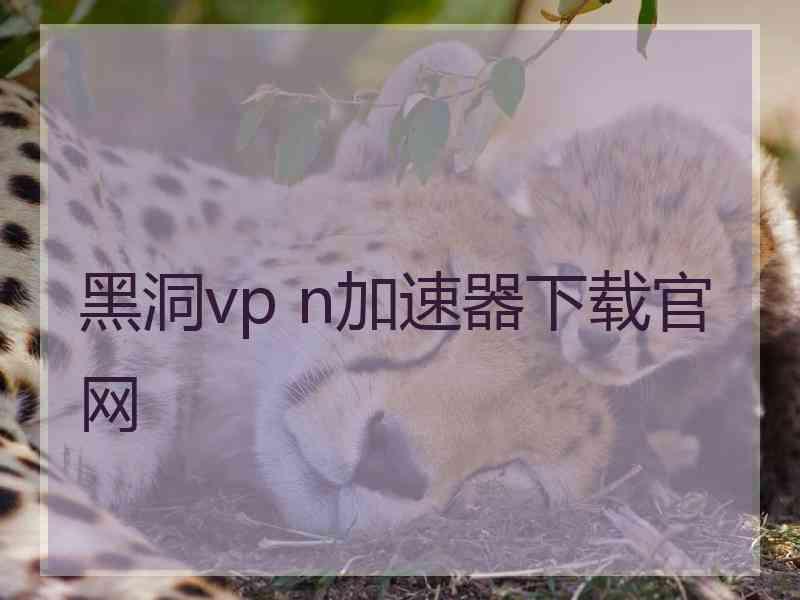 黑洞vp n加速器下载官网