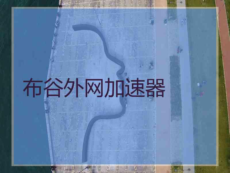 布谷外网加速器