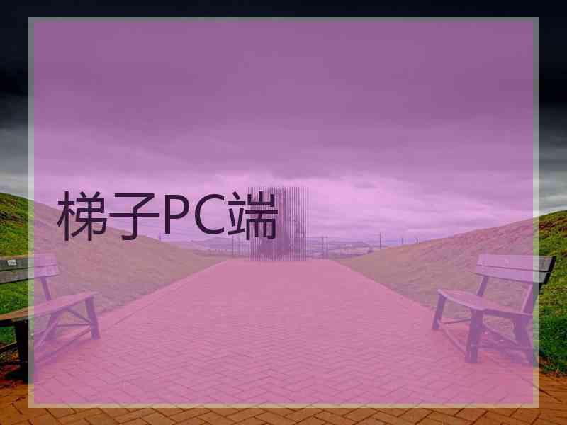 梯子PC端