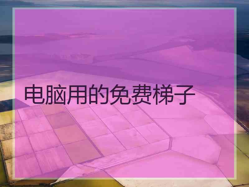电脑用的免费梯子