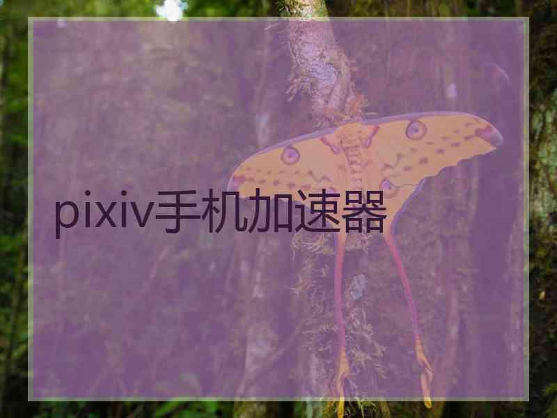 pixiv手机加速器