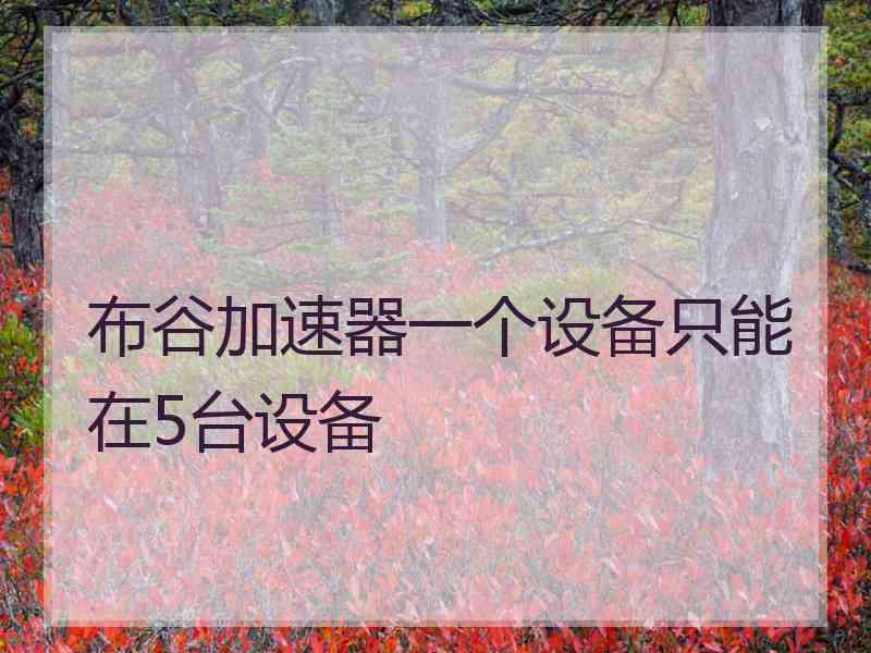 布谷加速器一个设备只能在5台设备