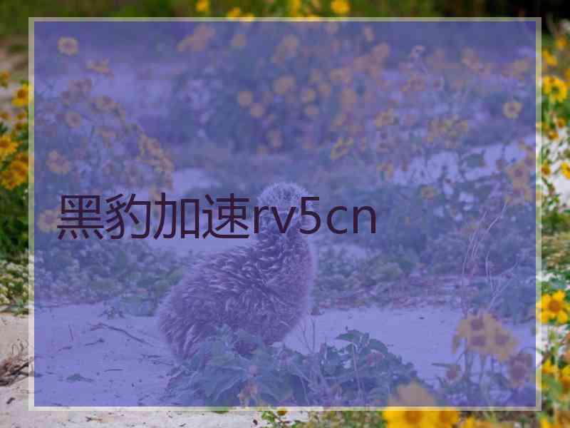 黑豹加速rv5cn
