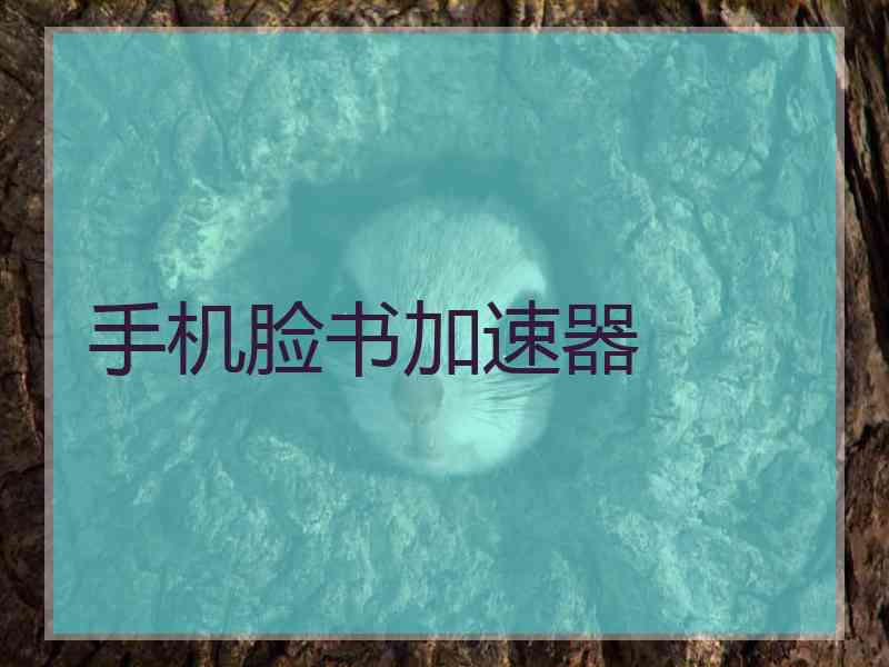手机脸书加速器