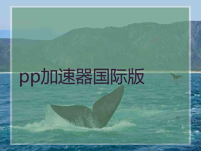 pp加速器国际版