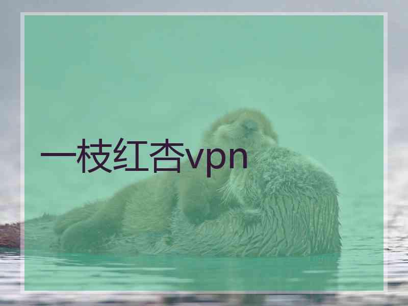 一枝红杏vpn