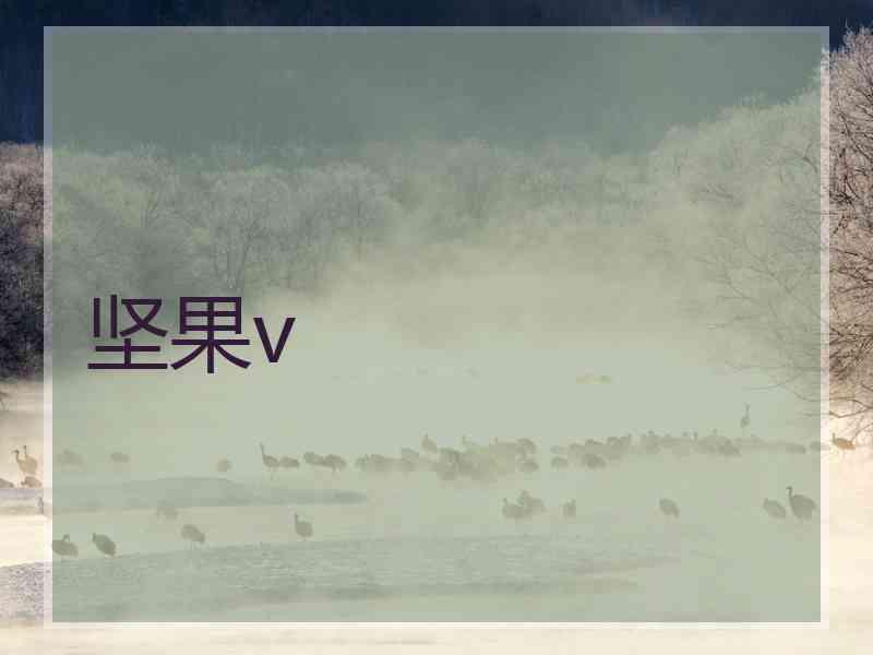 坚果v