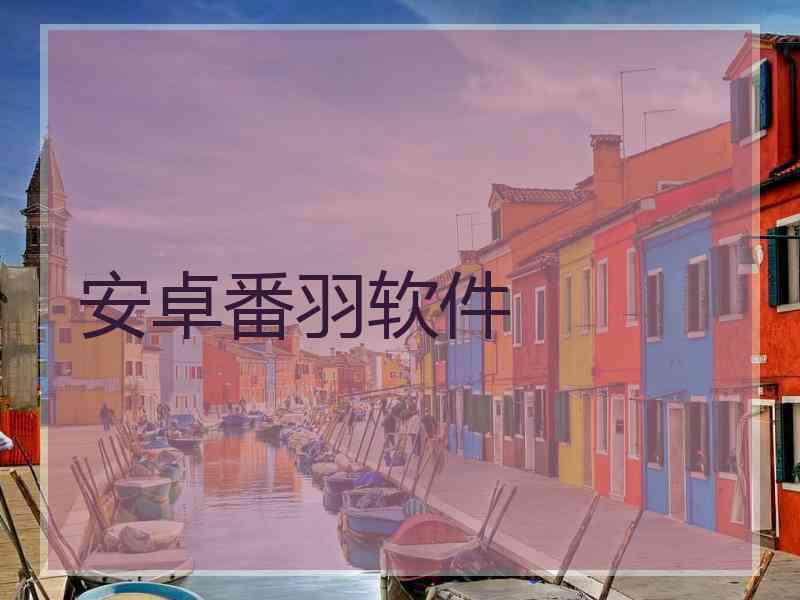 安卓番羽软件