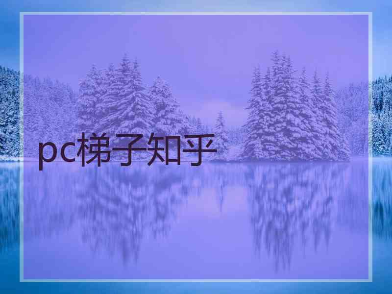 pc梯子知乎