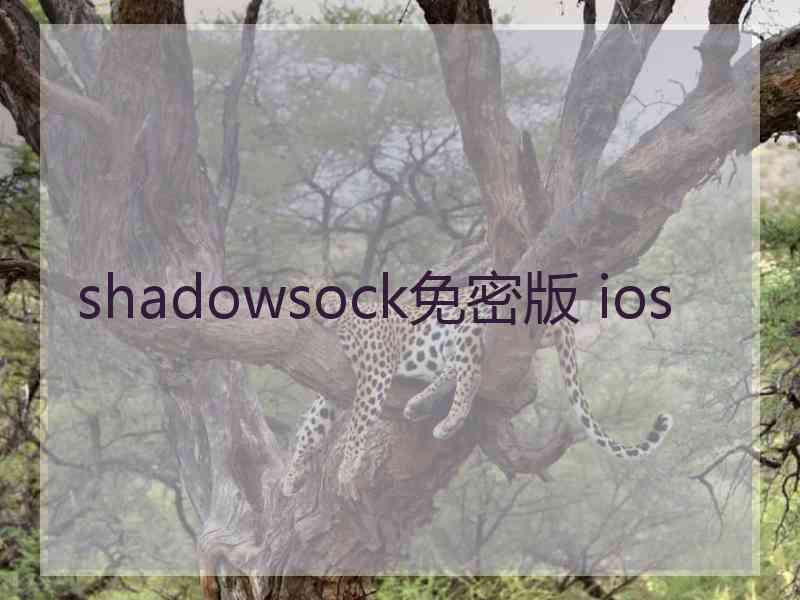 shadowsock免密版 ios