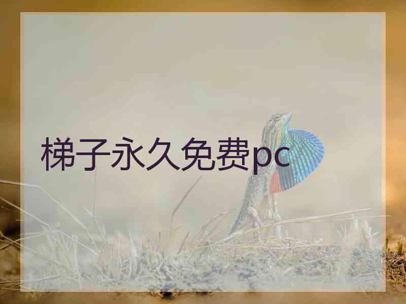 梯子永久免费pc