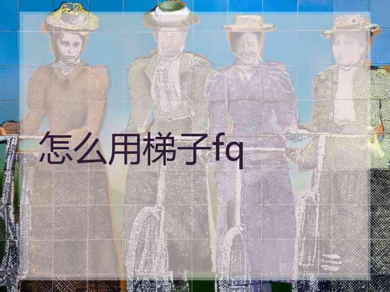 怎么用梯子fq