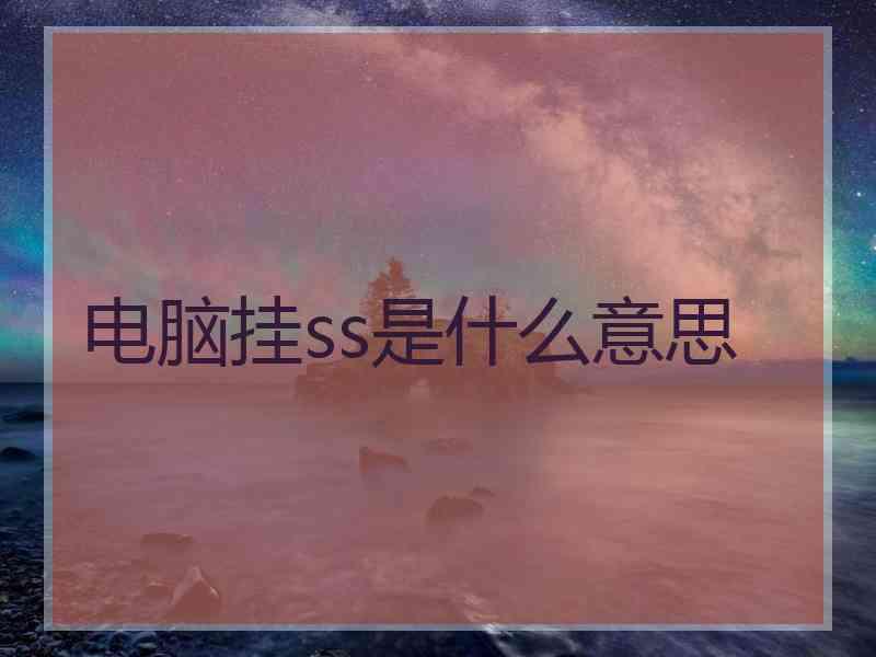 电脑挂ss是什么意思