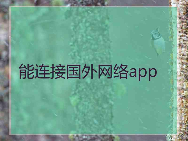 能连接国外网络app