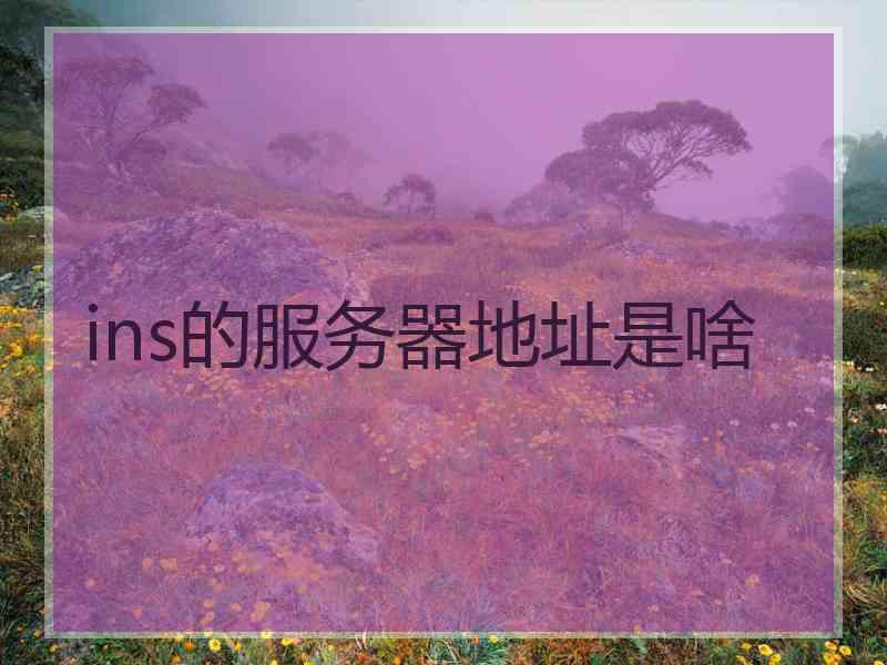 ins的服务器地址是啥