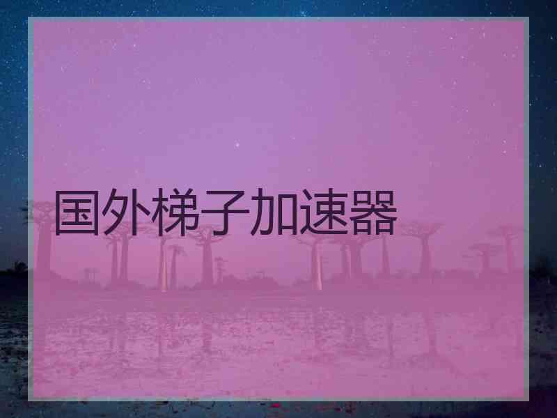 国外梯子加速器