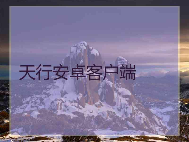 天行安卓客户端