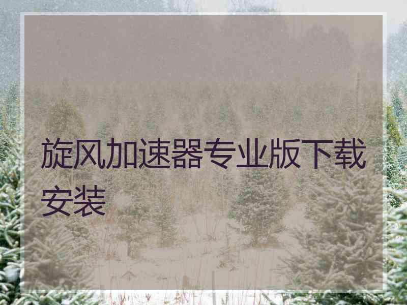 旋风加速器专业版下载安装