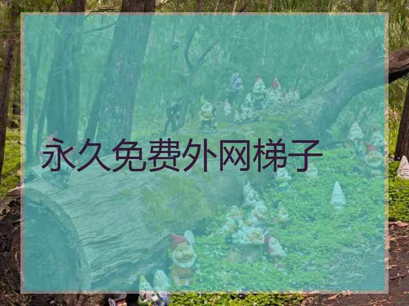 永久免费外网梯子