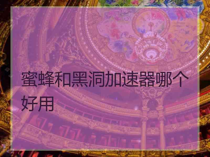 蜜蜂和黑洞加速器哪个好用