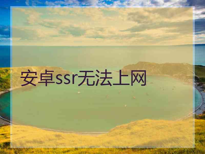 安卓ssr无法上网