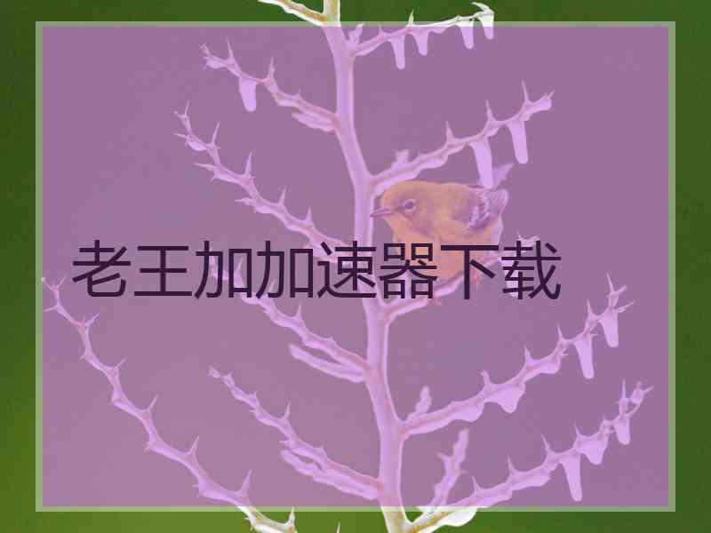 老王加加速器下载