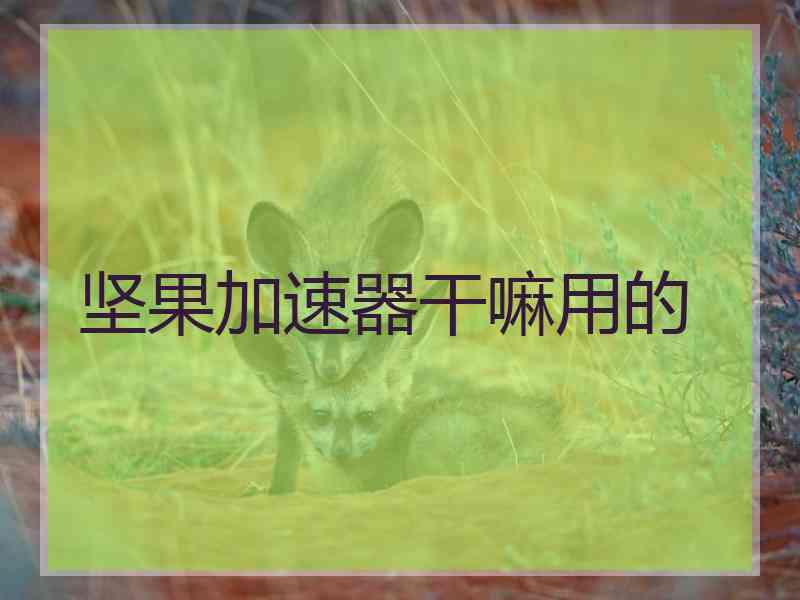 坚果加速器干嘛用的