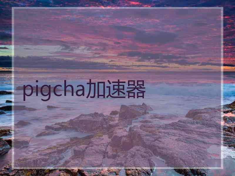 pigcha加速器